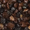 Bark