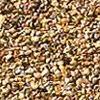 Shakewood